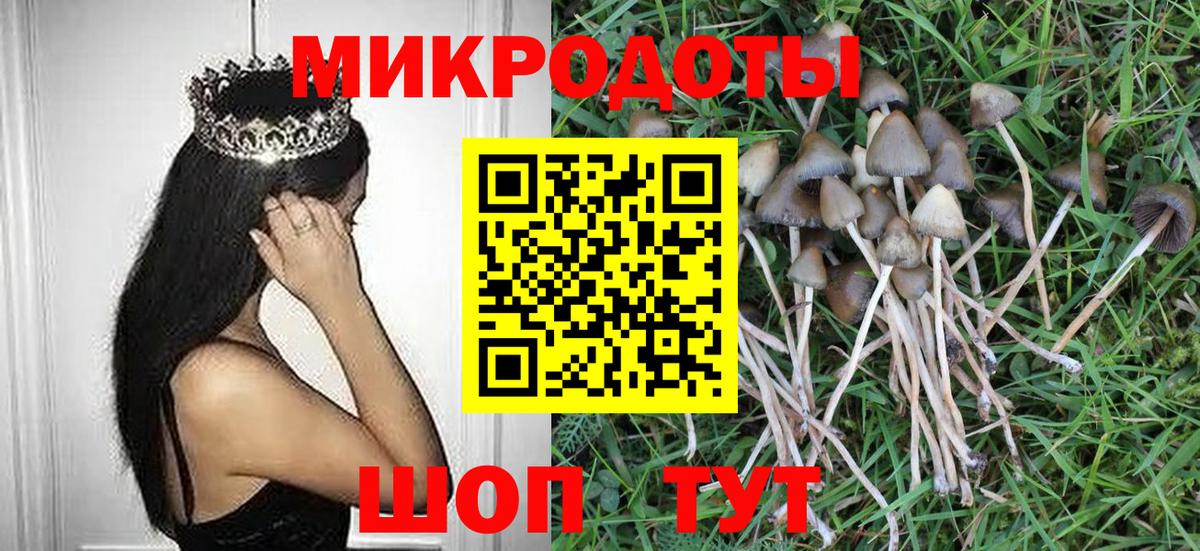 Люберцы  Галлюциногенные грибы Psilocybine cubensis  Вход с VPN 